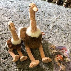 Stretch the ostrich bundle